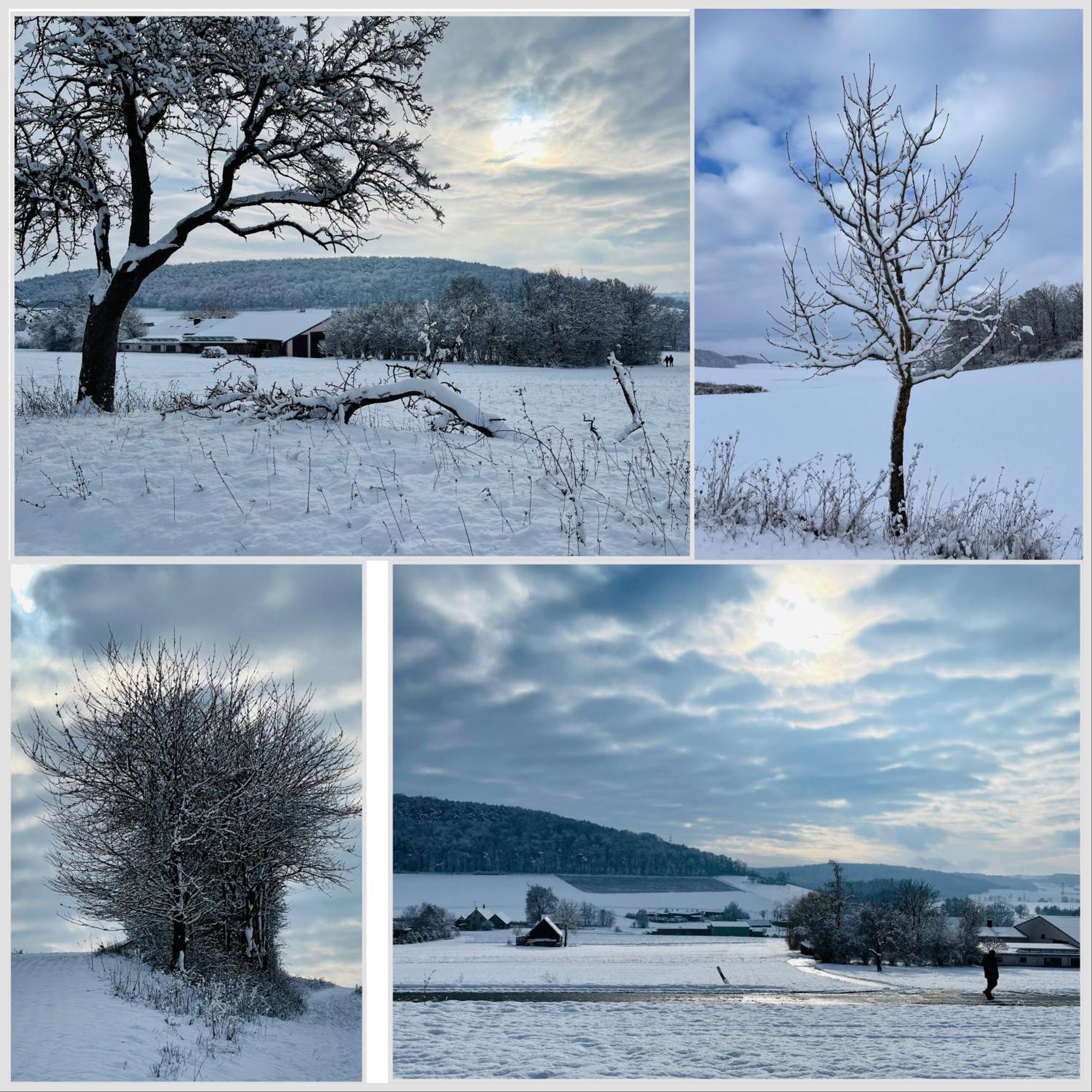 Fewo Uettingen Mitte Dış mekan fotoğraf